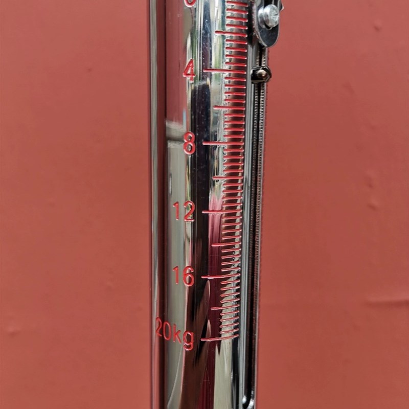 LTZ-3常熟百灵机械弹簧秤管形测力计管型拉力计挂钩手提秤30N/牛
