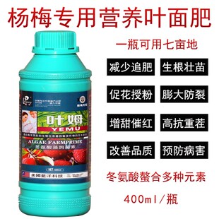 叶姆杨梅树肥料叶面肥果树肥料复合肥料坐果膨大保保果