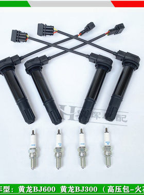 适用倍力尼黄龙BJ300/BN302黄龙600/TNT600高压包火花塞点火线 线