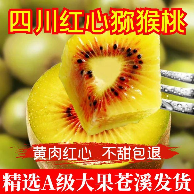 正宗四川广元苍溪红心猕猴桃新鲜水果当季现摘现发