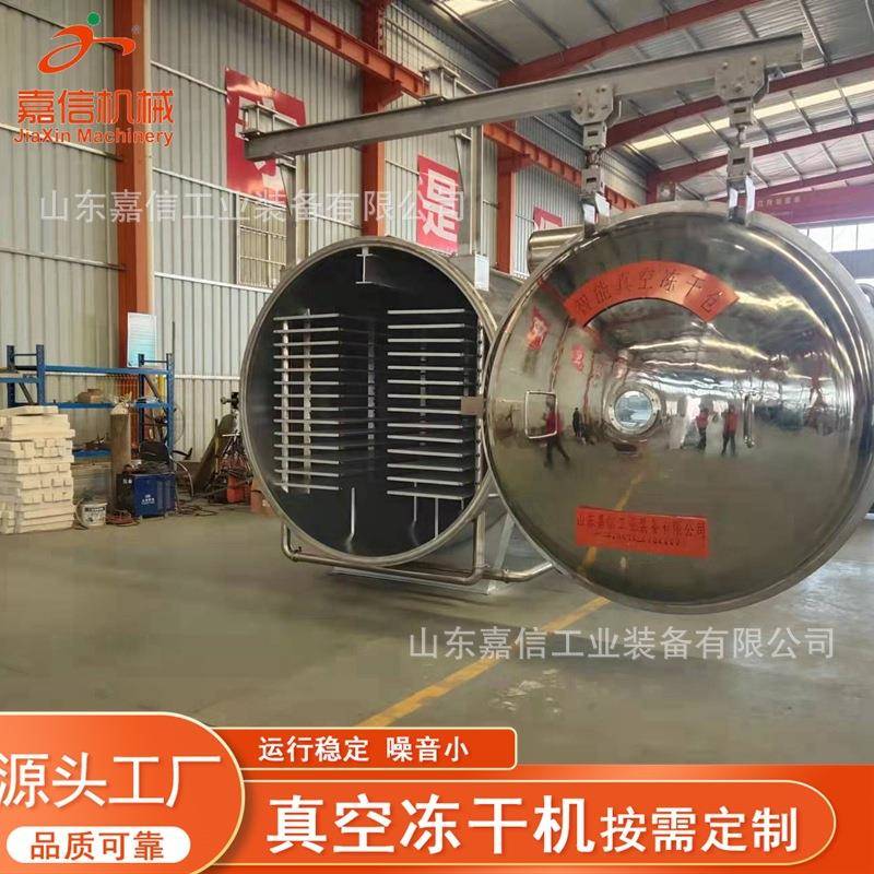 牛肚真空冻干机苹果真空干燥机香蕉橘子大型真空冻干设备生产厂家