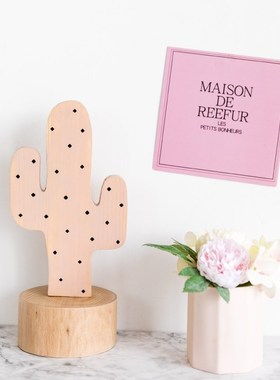 阿楹 i奶ns油风电视壁龛餐边柜装饰仙人掌小摆件家居洞洞板展示架