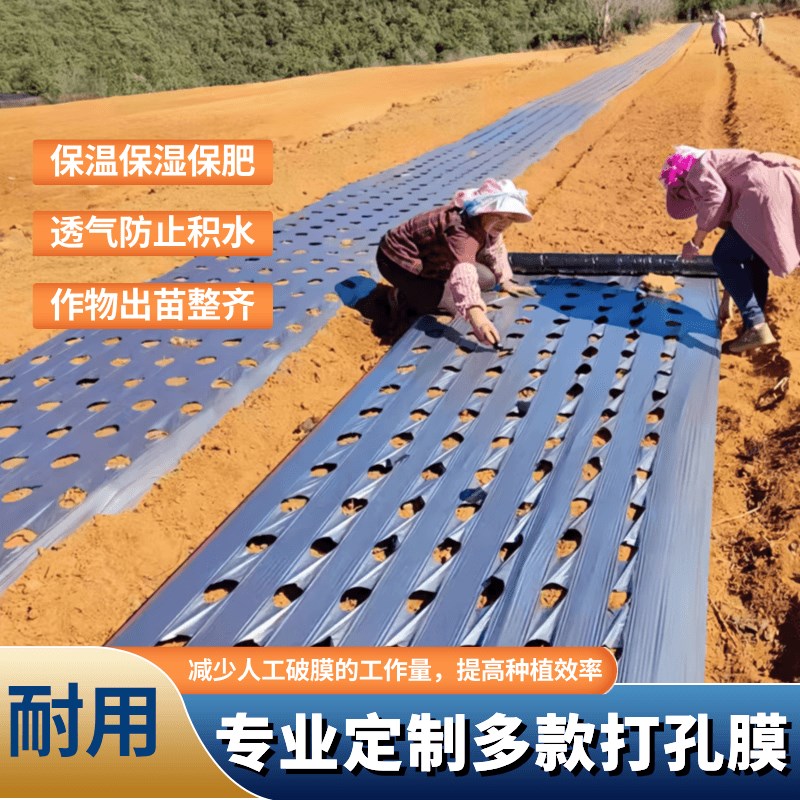 打孔黑色地膜除草保温保湿抗老化药材小葱辣椒朝天椒专用开孔地膜