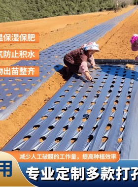打孔黑色地膜除草保温保湿抗老化药材小葱辣椒朝天椒专用开孔地膜