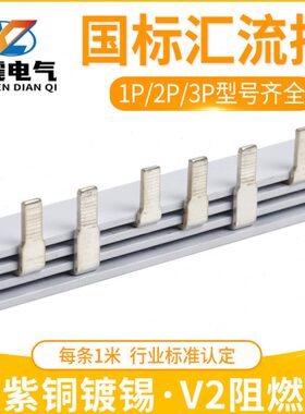 A排3A2P32妆1PA6 接线汇流排45梳0P空开排电气连3铜排接母排C10