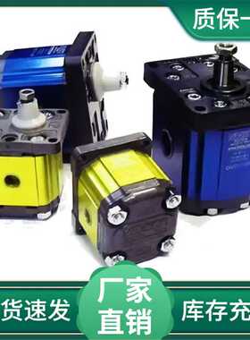 VIVOLO型齿轮泵 X3P8032HFEA 意达利VIVOIL液压泵