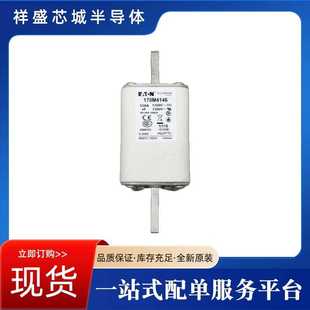 2666 熔断器保险丝170M 2665 170M 2667现货 2664