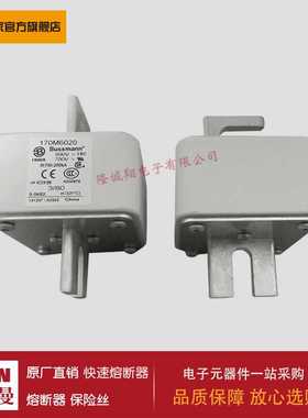 熔断器170M3063 170M3064 170M3065 170M3066 170M3067 170M3068