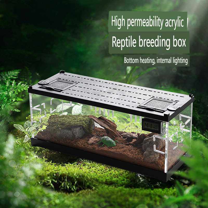 亚克力爬虫盒小型照明加热防逃逸寄居蟹仓鼠笼繁殖缸爬宠物饲养箱,3C数码配件,摄像机配件,淘宝优惠券,粉丝福利购,淘宝优惠卷