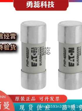 快速熔断器     FWP-40G22F   FWP-50G22F   FWP-63G22F