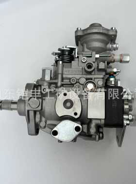 泵总成0460424100燃油泵2643H076 2643H077 5001826791厂家供应