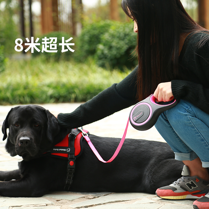 狗狗牵引绳伸缩遛狗绳小型犬中型项圈背带宠物自动收缩神器狗绳子