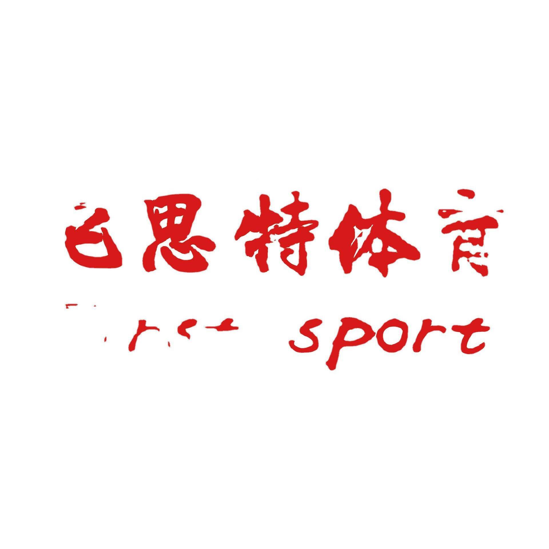 0羽毛T球TB-YPW-0裁判椅II B-YP-0W9A
