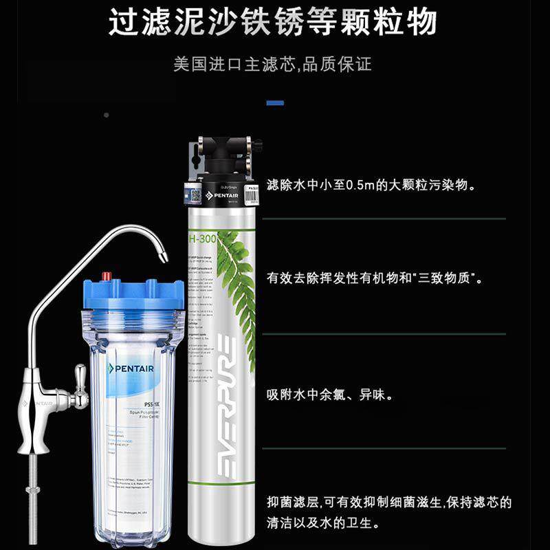 惠浦rE905verpue爱爱惠浦净水器家用厨房来水过滤器直饮自机H-300