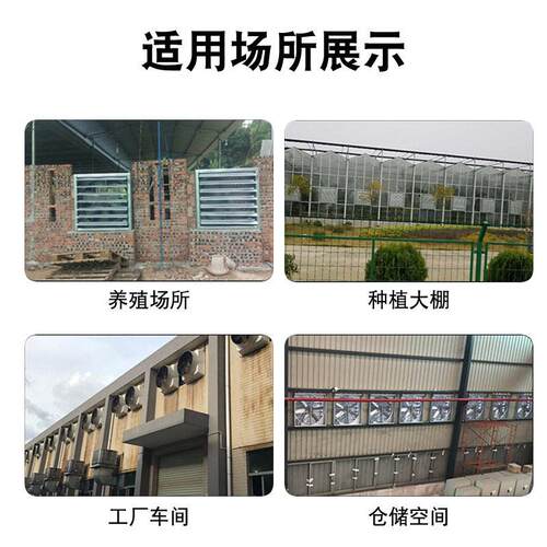 畜牧风机 温室家大棚直厂房中垂压通风负风机厂降815温排风扇排气