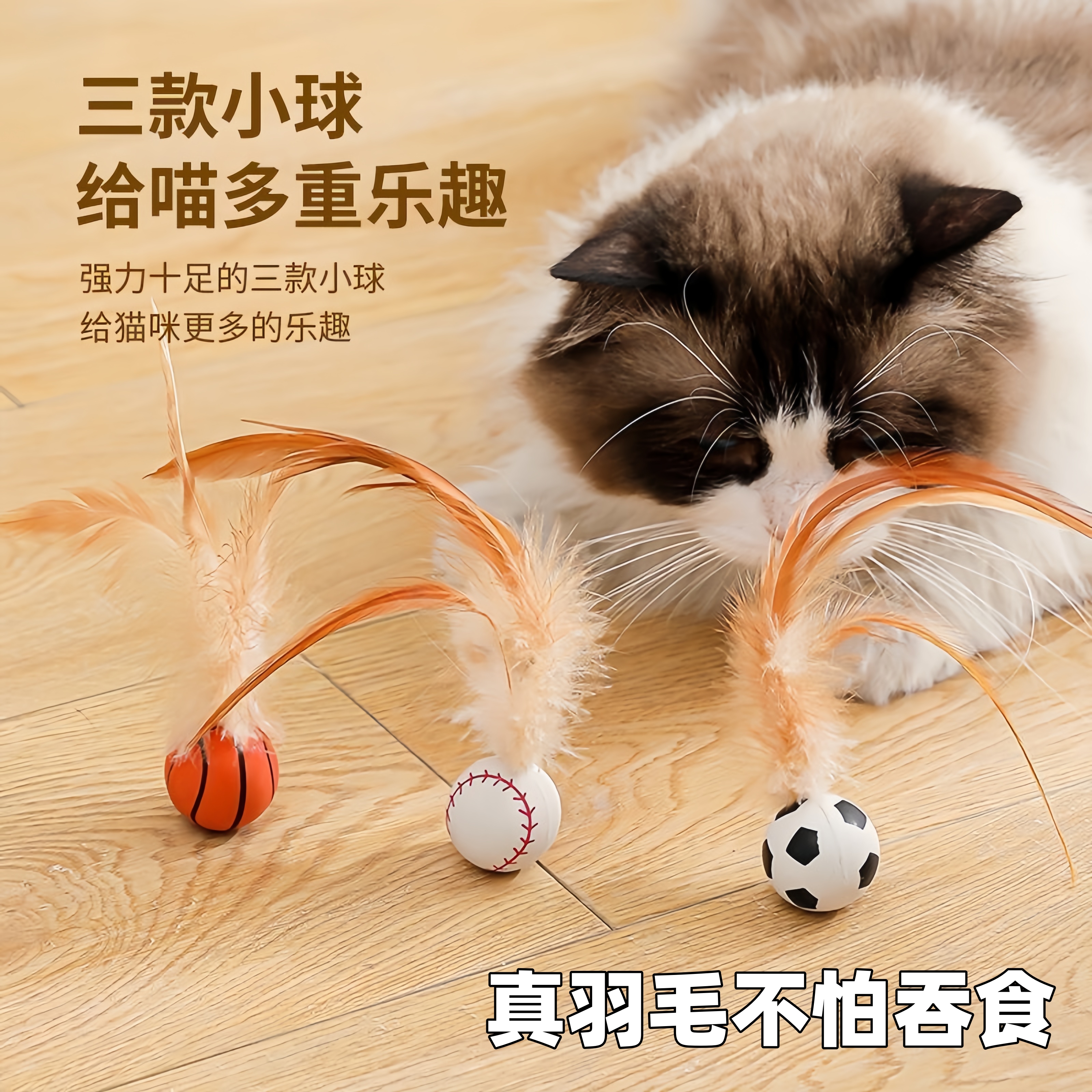 猫咪逗猫棒磨牙趣味弹力球