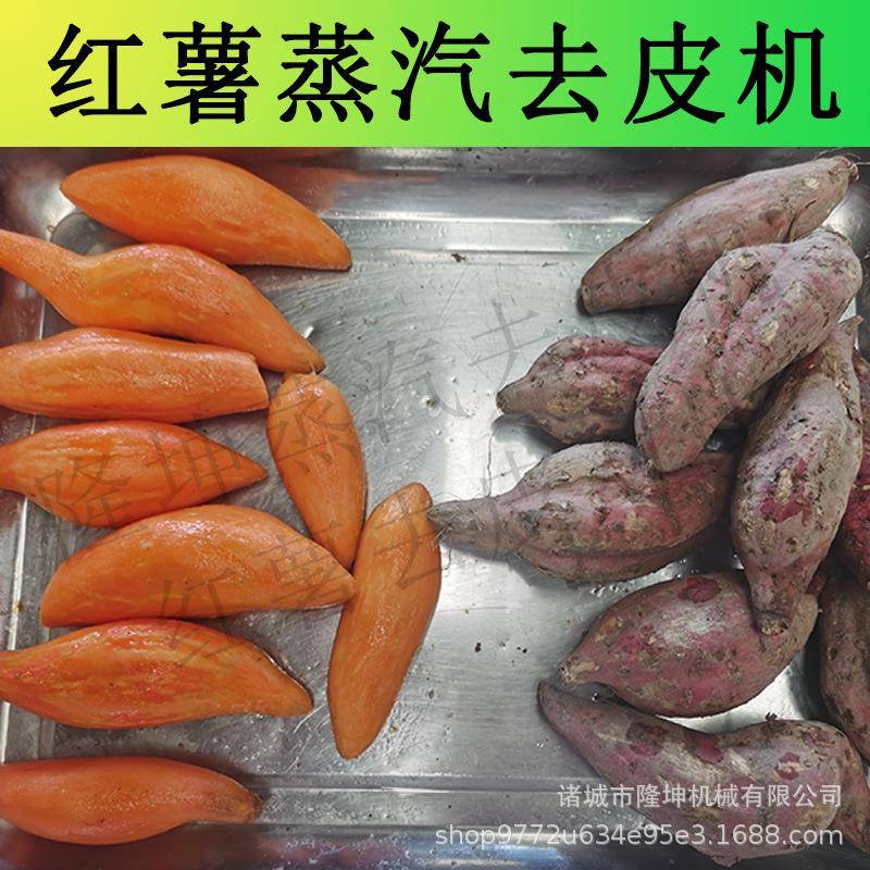 山东红薯去皮机马铃薯土豆多功能物理脱皮机胡萝卜去皮设备