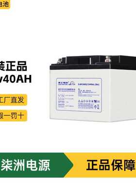 LEOCH理士蓄电池DJM1240S 光伏发电 12v40AH UPS电源 蓄电池