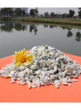 绿色水磨石骨料｜2-12mm三级配｜高色牢度防潮墙面石+地坪石系统