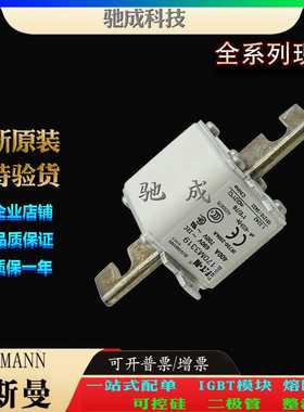 巴斯曼170M3319 170M3320 170M3321 加工制作量大价优 高速熔断器