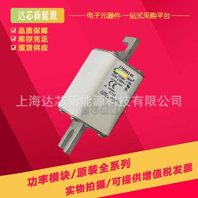 170M4008 170M4009 170M4010 170M4011 170M4012 170M4013熔断器