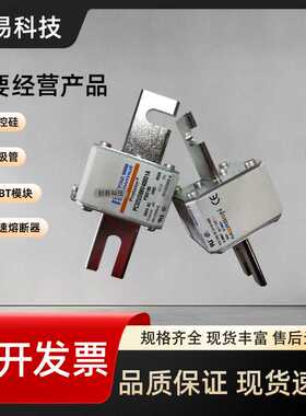 全新PC32UD69V500EF X300170 PC32UD69V550EF Y300171 熔断器现货