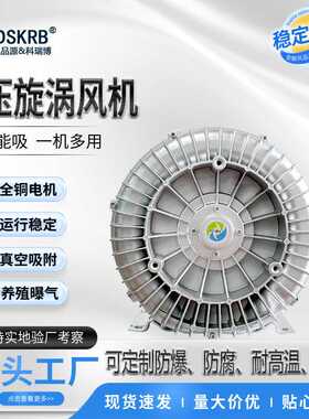 真空吸附切换造纸设备切纸机用KRB-710高压风机吹吸两用