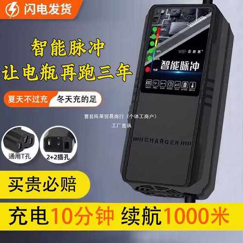 电动车电瓶充电器48V12AH60V20A72V适用于超威天能三轮铅酸石阵果