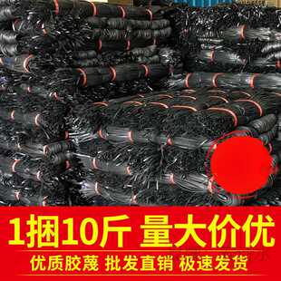 建筑绑带扎带胶蔑胶绳扎蔑搭棚竹架扎绳扎篾扎排山的带搭竹垒德株