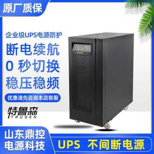特鲁森TLS33100 应急电源电池 N高频UPS不间断电源100KVA80KW塔式