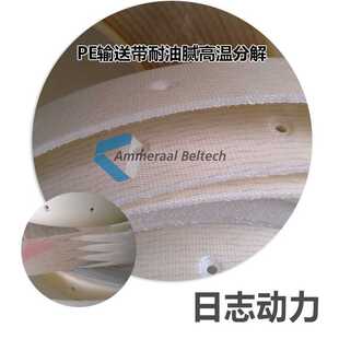 Peflex EHM 8/2 00+07 S0 Transp 2.7mm PE输送带PE 2M1870 S0 透