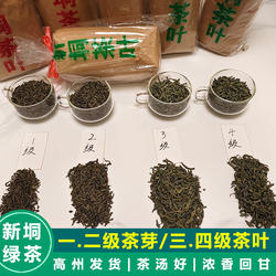 新茶春茶广东高州新垌特产绿茶茶叶纯手工炒青正宗浓香型散装茶芽