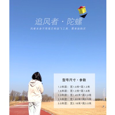 追风者P31N碳杆陀螺风筝微风易飞544软伞布大型成人抗风