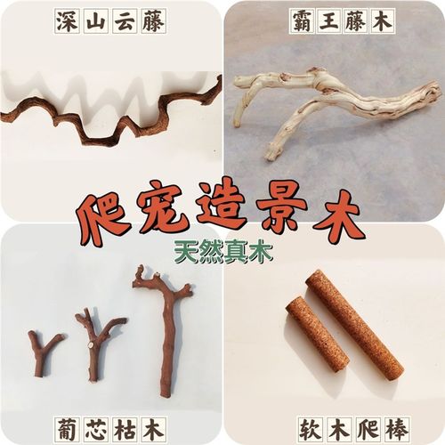 爬宠虫造景藤木霸王树栖装饰沉枯鬃狮蜥蜴睫角豹纹肥尾守宫晒背台
