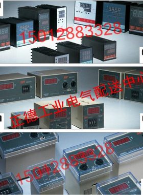 CNZSN温度控制器 ZSNG-3000 智能温度调节仪  温度控制仪