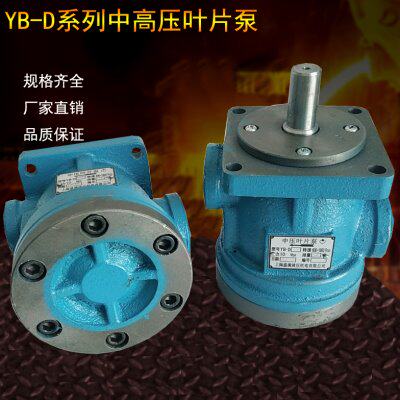 上海盛满叶片泵YB-D6.3 YB-D10 YB-D12 YB-D16 YB-D20 YB-D25 D32