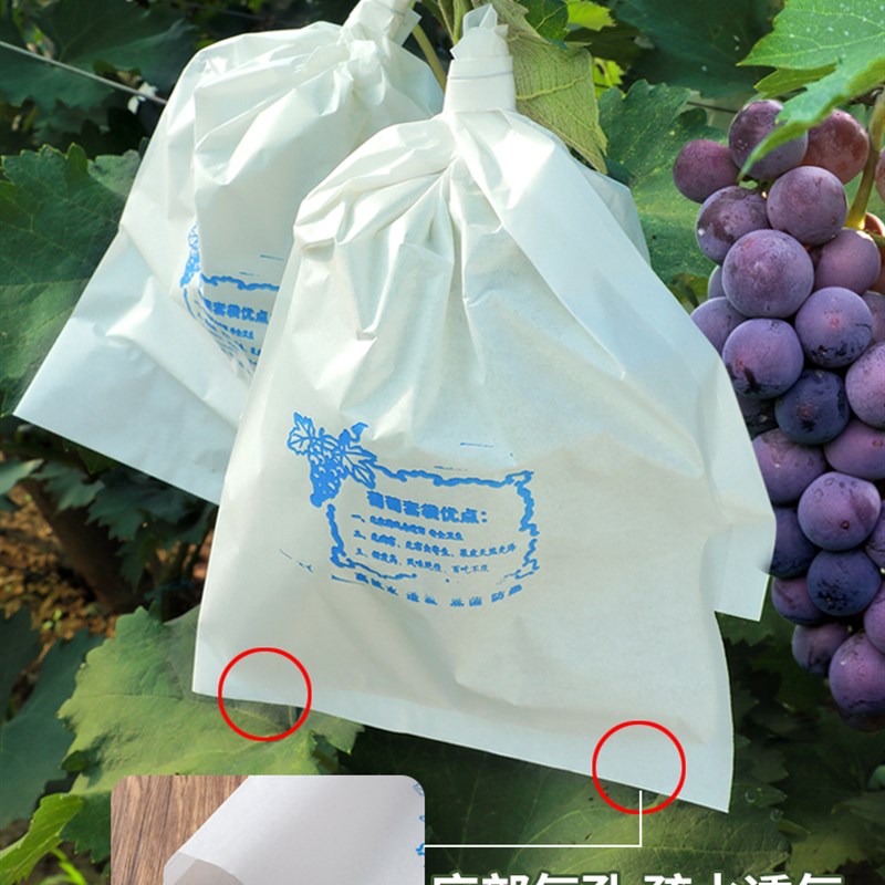 葡萄套袋专用袋防虫葡萄套育袋葡纸袋葡萄袋果袋袋子防水萄专用的