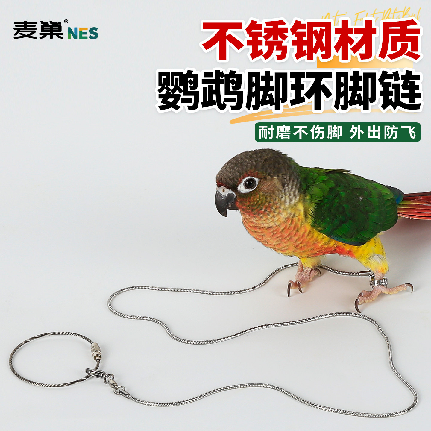 鹦鹉不锈钢脚链脚环活扣超轻小太阳专用不伤脚放飞牵引绳免费刻字