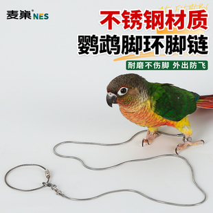 鹦鹉不锈钢脚链脚环活扣超轻小太阳专用不伤脚放飞牵引绳免费刻字