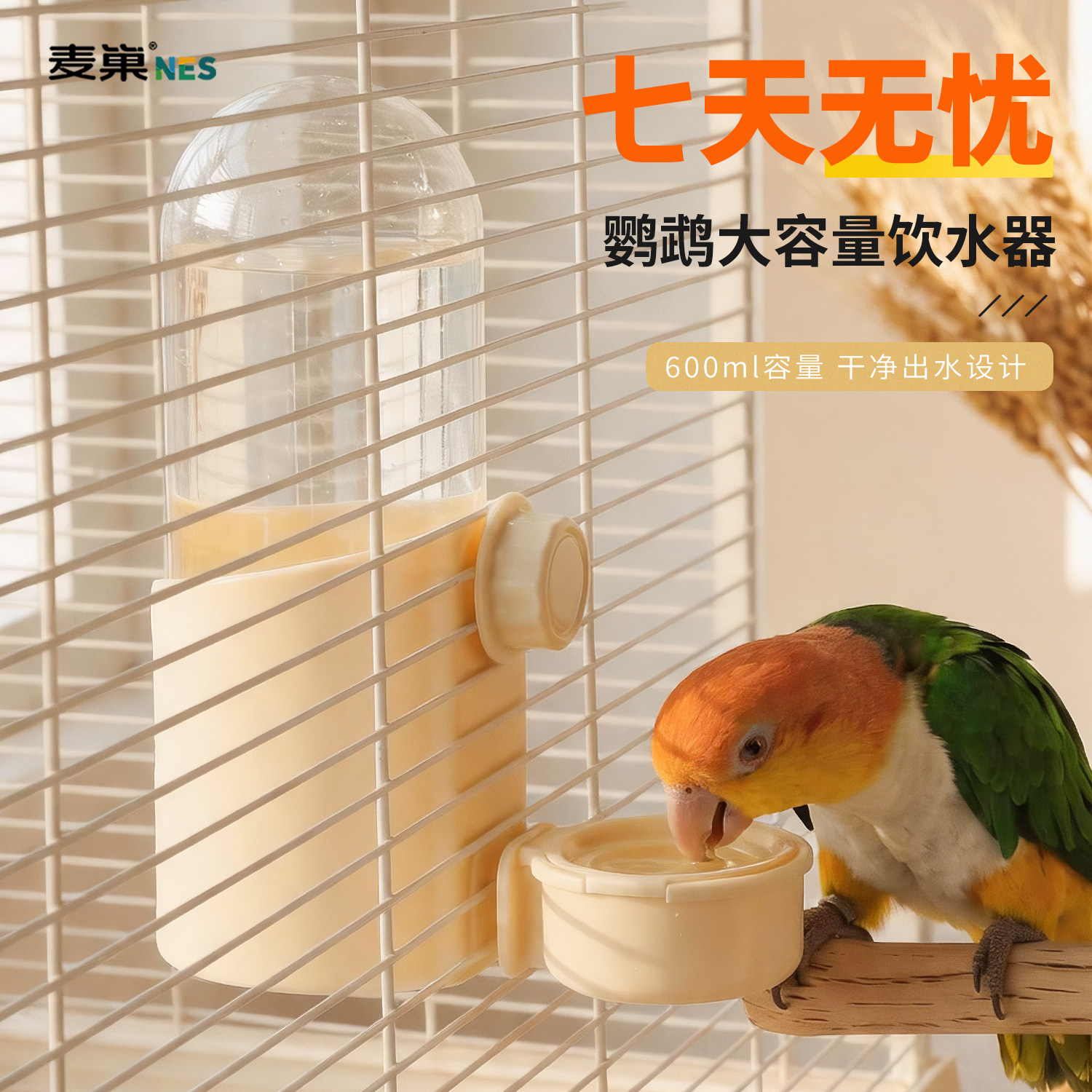 鹦鹉饮水器大容量自动喂水撞针式防溅鸟食盒鸽子牡丹玄凤专用水壶