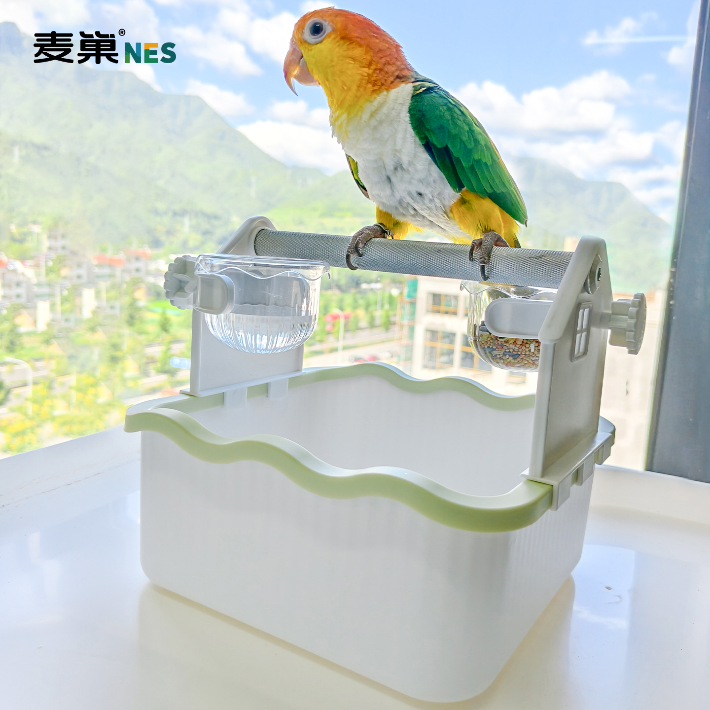 鹦鹉桌面站架训练互动定点排便