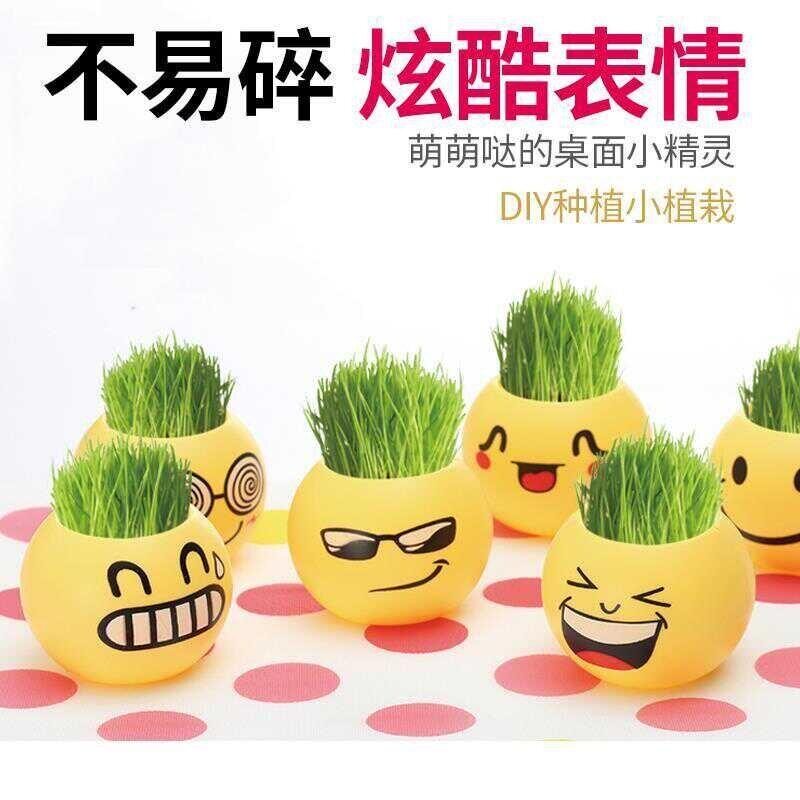 卡通陶瓷创意表情草头娃娃幼儿园儿童宝宝青草种植迷你小盆栽植物