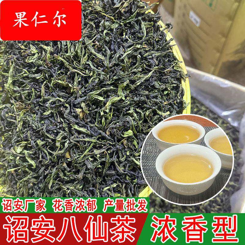 诏安八仙茶新茶惠来高山茶红场黄旦大坪土山茶高山茶叶清香型春茶