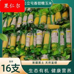 公立屯香甜糯玉米东北双鸭山软糯香甜真空营养早餐代餐鲜食玉米