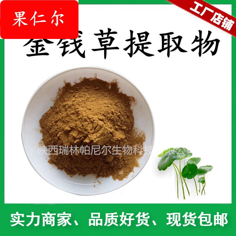 金钱草提取物 金钱草粉 比例萃取 植提工厂现货包邮 金钱草浓缩粉
