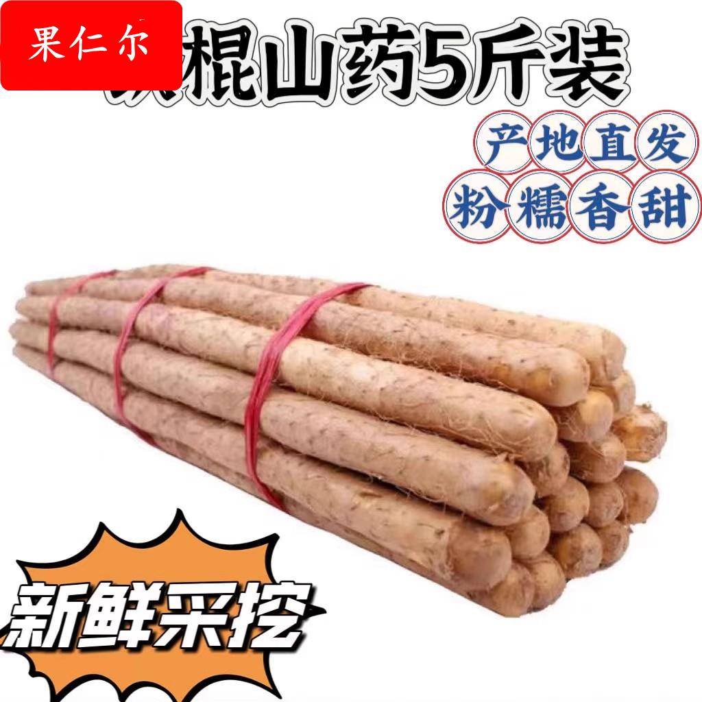 河北特产铁棍山药小白嘴山药新鲜山药5斤当季蔬菜产地直发辅食