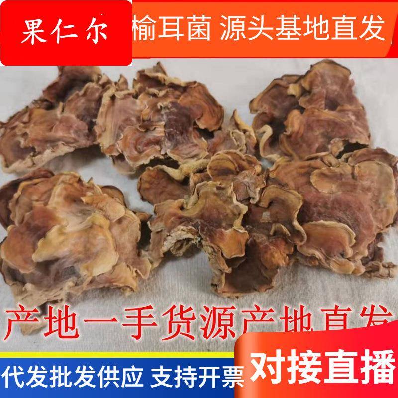 产地直发头茬级肉厚榆耳菌素食榆菇灵芝菇黄侧耳营养素食菌汤菇