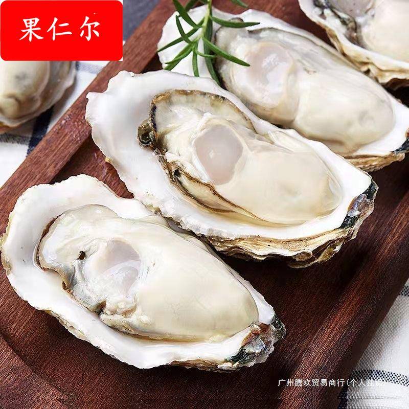 包活乳山生蚝鲜活牡蛎新鲜特大肥海蛎子5斤海鲜水产整箱顺丰包邮