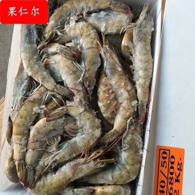 商用整箱桑塔3040盐冻海水虾南美对虾 厄瓜多尔白虾 餐饮水产火锅