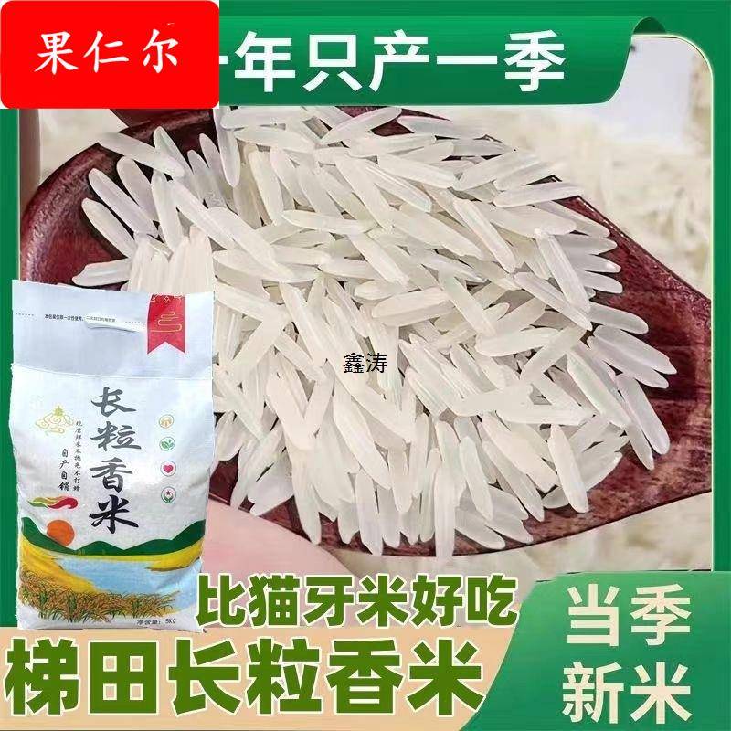 新米贵州梯田长粒香米晚稻农家米自种软米长粒香米细粒长米10斤